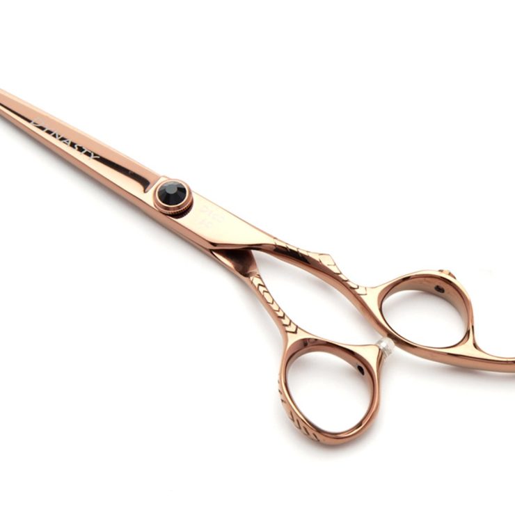 attachment-66b28fc3e6a157336dc52908